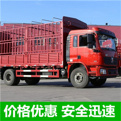 惠州到天津?yàn)I海新區(qū)物流公司-惠州至天津?yàn)I海新區(qū)物流-惠州到天津?yàn)I海新區(qū)貨運(yùn)專(zhuān)線